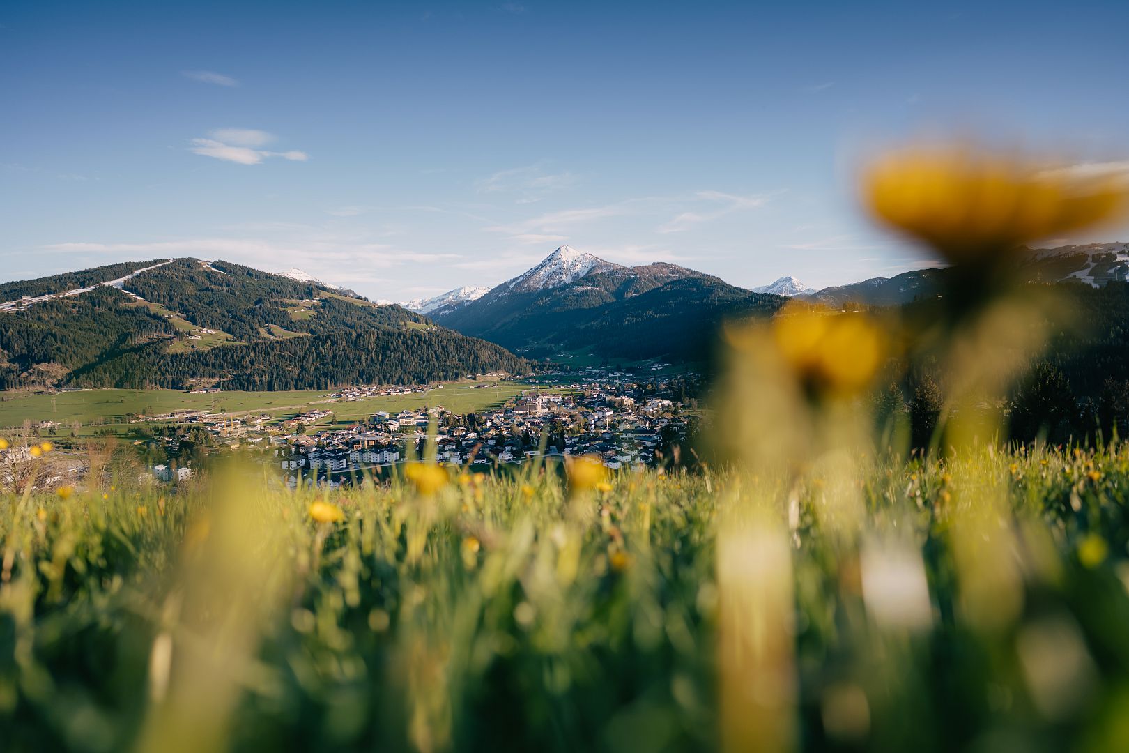2021-fruehling-landschaft-christian-schartner-20.jpg