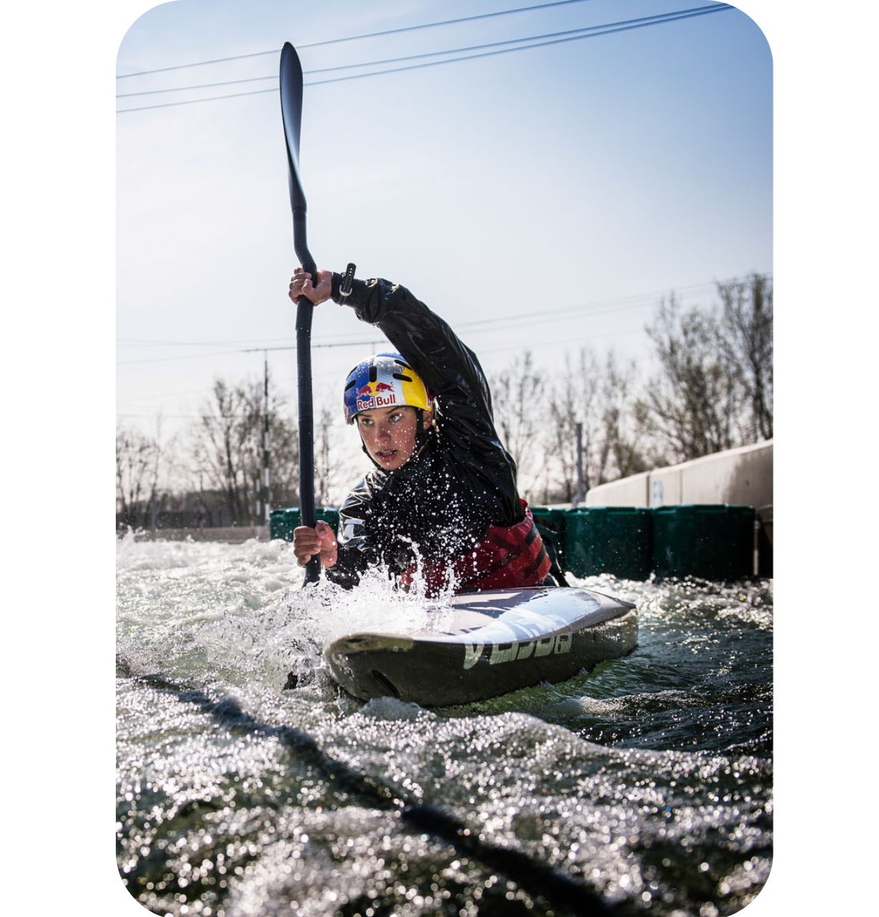 Wolffhardt abgerundet.png